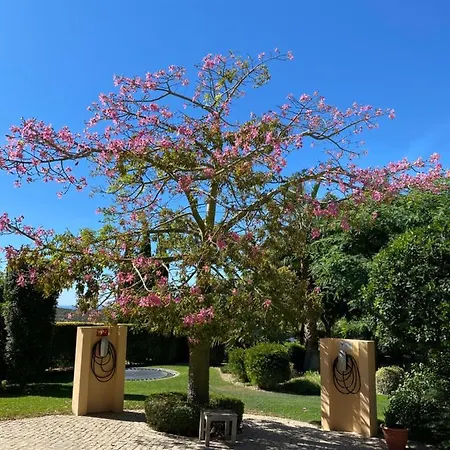 Alojamento de Acomodação e Pequeno-almoço Casa Mocho Branco Loulé